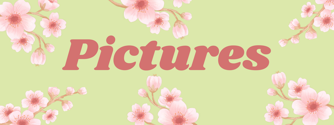 Picture